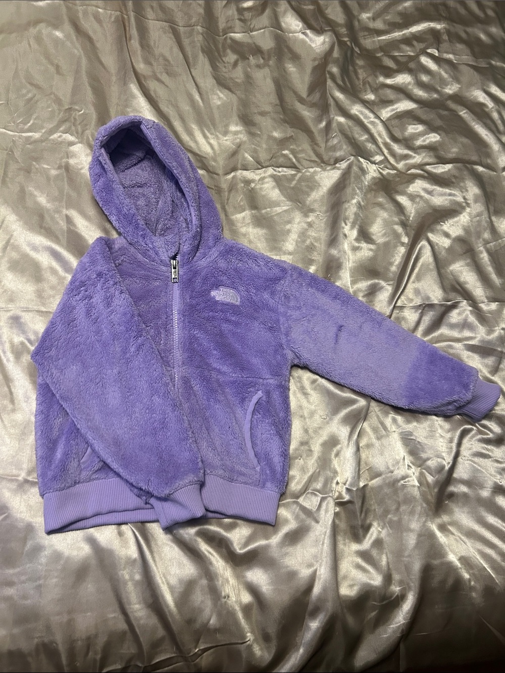 The North Face Kids' Osito Full Zip Fleece Hoodie